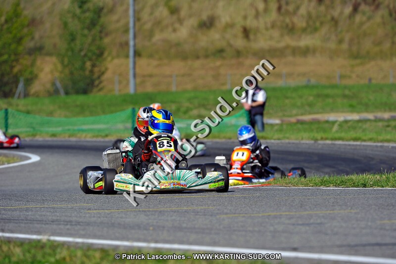 DSC_ (1706).jpg